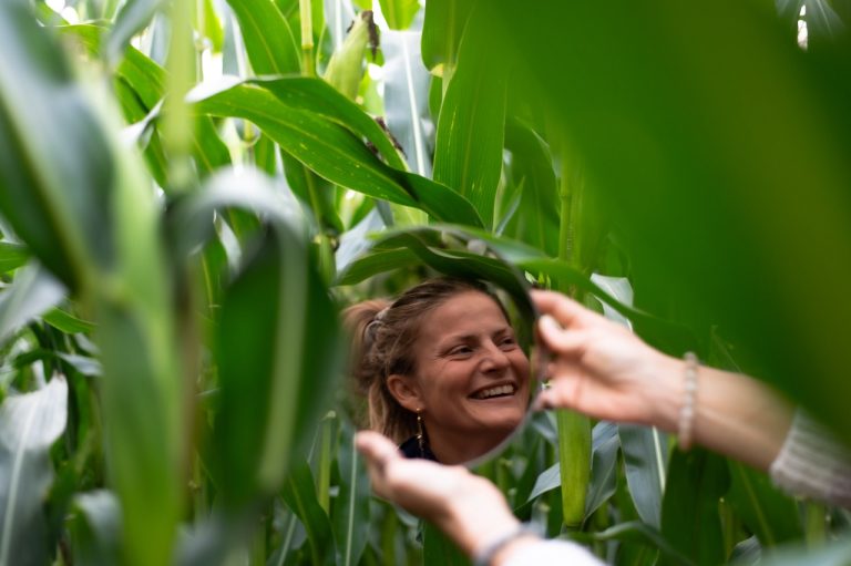 How to Maximize Your Farm’s Return on Investment