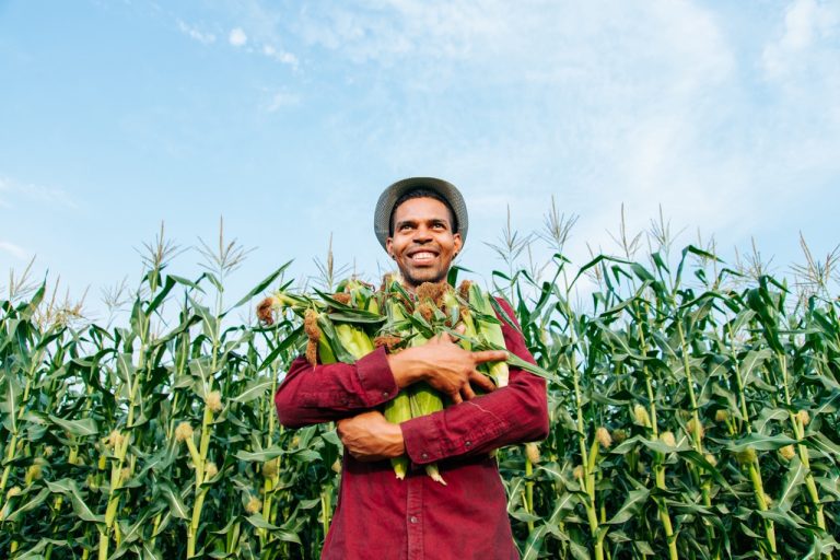 The Benefits of Small-Scale Livestock Farming