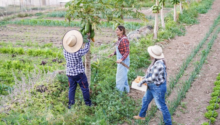 How to Deal with Common Farm Pests Naturally