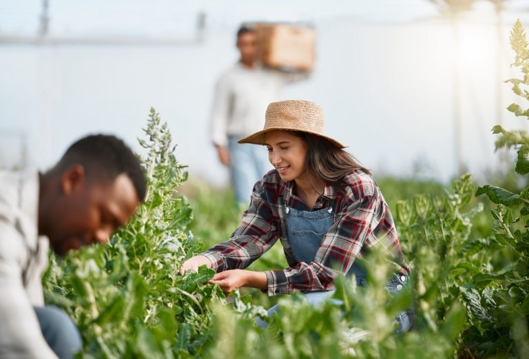 How Sharecropping Helps Farmers Navigate Changing Climate Conditions
